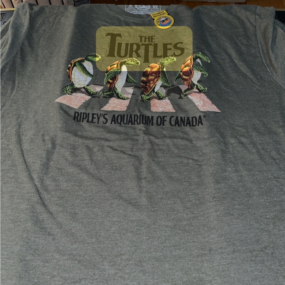 Gray Turtle Graphic T-Shirt “The Turtles” (Abbey Road)